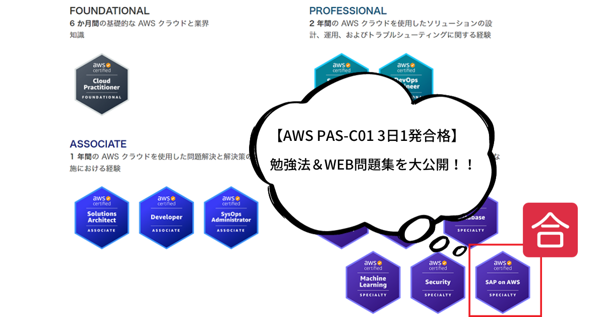 【AWS-PAS-C01】3日で一発合格体験記【僕はコレだけ】